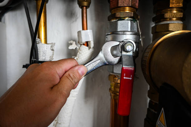 Best Plumbing Inspection Services  in Greenwood, PA